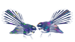 Two Fantails Design
